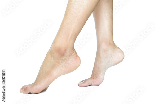 Beautiful female legs and feet on a white background.