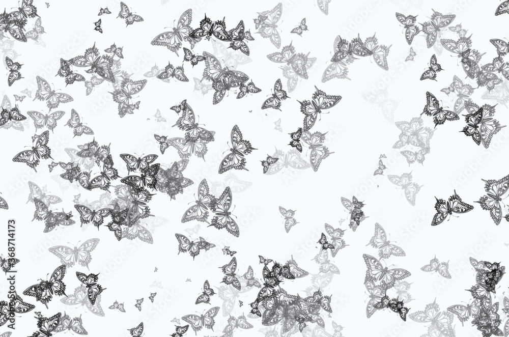 Fototapeta premium Flying black butterfly pattern on white floor2