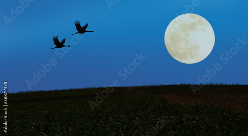 Flying couple cranes to the moon over the hill1
