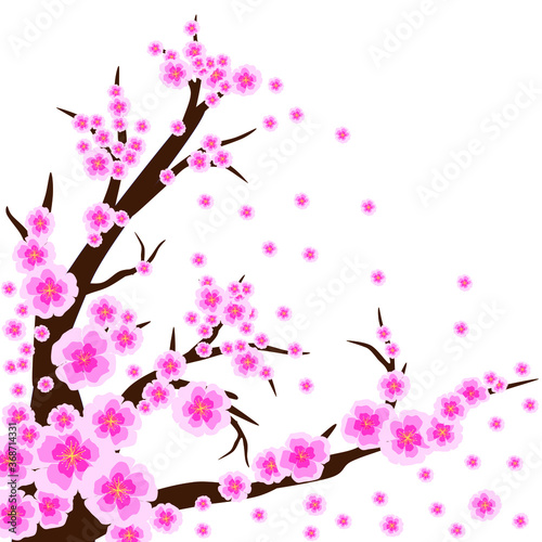 Branch of cherry blossoms. Flat design vector illustration on isolated background.