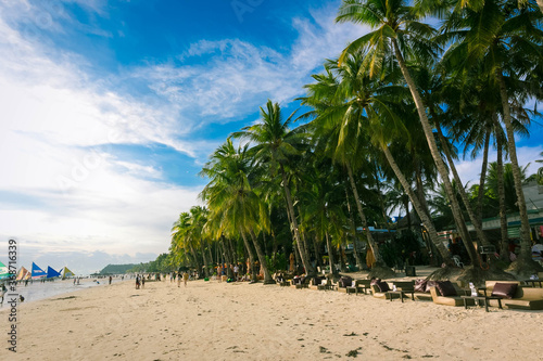 フィリピン・ボラカイ島のホワイトビーチに生えているヤシの木と青空