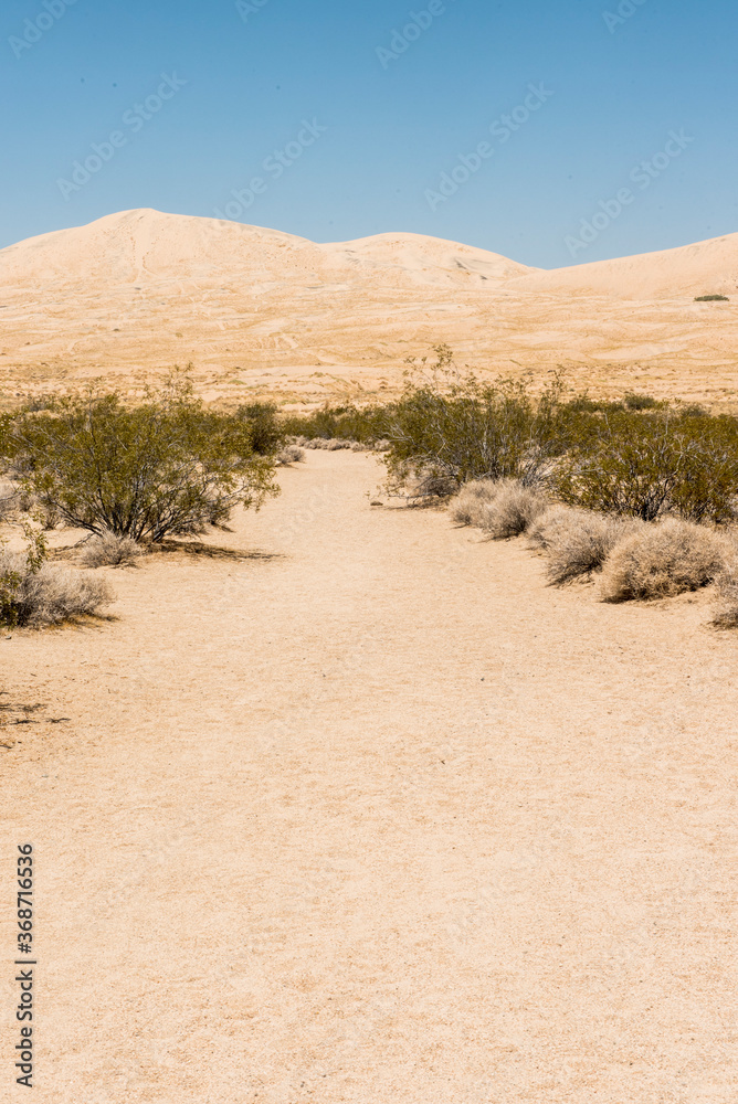 Mojave Desert sand dune Mojave Desert sand dune