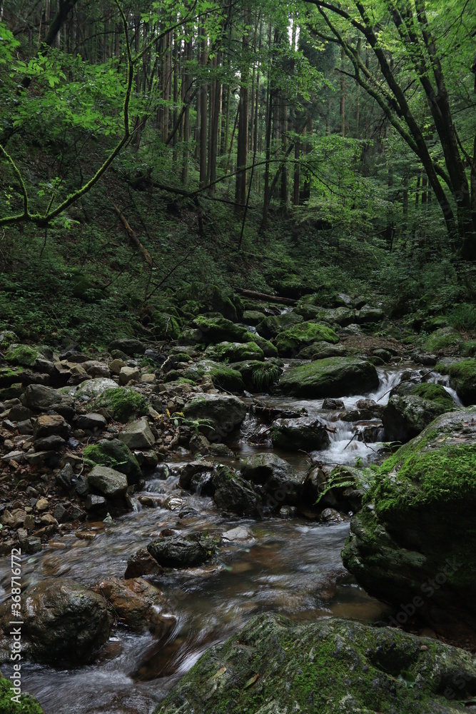 Nature in mitake mountain , japan ,tokyo Nature in mitake mountain , japan ,tokyo