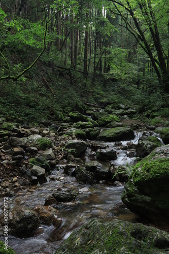 Nature in mitake mountain   japan  tokyo