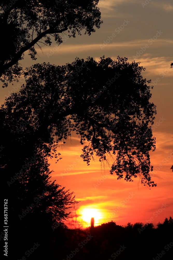 Fototapeta premium Kansas colorful Sunset with clouds and a tree silhouette north of Hutchinson Kansas USA.