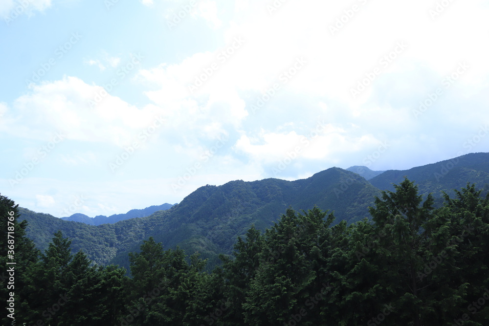 Fototapeta premium Nature in mitake mountain , japan ,tokyo