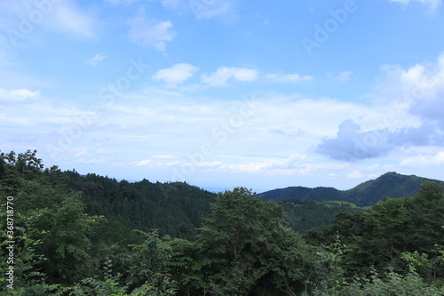 Nature in mitake mountain   japan  tokyo