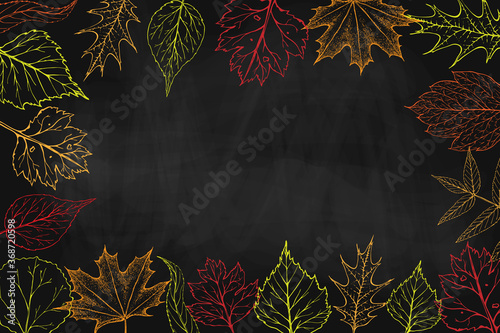 vector square frame with autumn leaves on black chalkboard. fall background on blackboard. Autumn banner, poster flyer label template greeting card design for print invitation Thanksgiving celebration