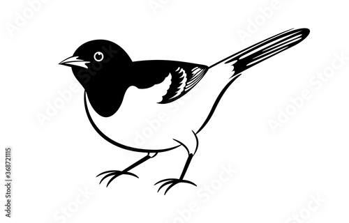 Bird vector illustration. Minimal line art.