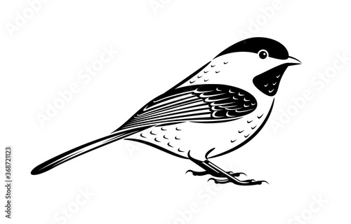 Bird vector illustration. Minimal line art.