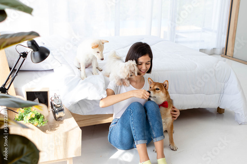 Young Asian woman relaxing, holding and giving a treat to Shiba dog, White Shiba puppy and Maltese dog, smile happy against bed in bedroom. Pet therapy at home. Relationship of pet and owner concept.
