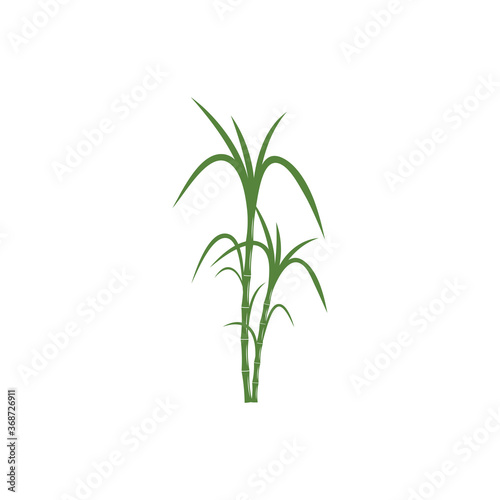 Fototapeta Naklejka Na Ścianę i Meble -  Sugar cane Logo Template vector symbol