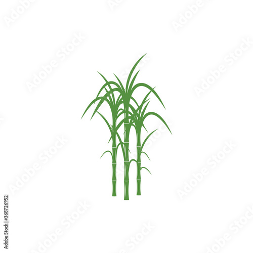 Fototapeta Naklejka Na Ścianę i Meble -  Sugar cane Logo Template vector symbol