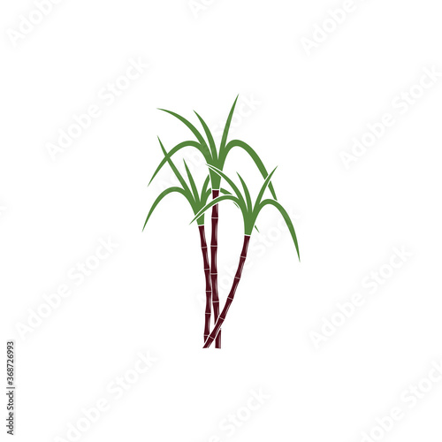 Sugar cane Logo Template vector symbol