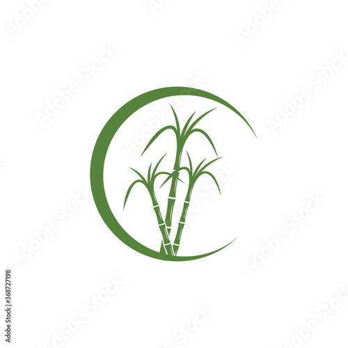Sugar cane Logo Template vector symbol
