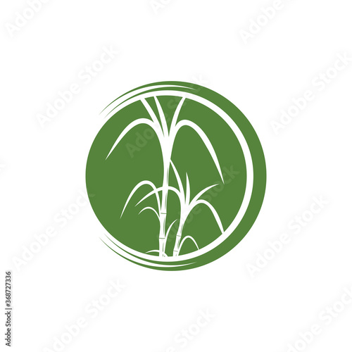 Sugar cane Logo Template vector symbol