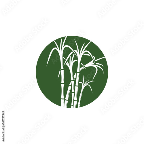 Sugar cane Logo Template vector symbol