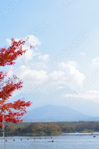 Landscape of Mount Fuji in Japan with colorful Autumn maple trees at Lane Kawaguchi