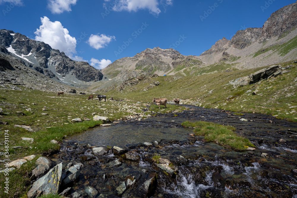 Wandern in der Lombardei Italien Sommer Wandern in der Lombardei Italien Sommer