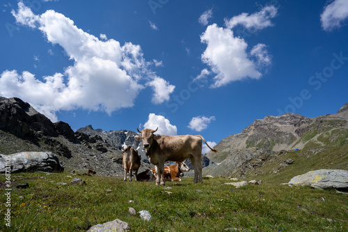 Wandern in der Lombardei Italien Sommer