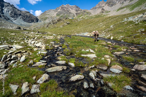 Wandern in der Lombardei Italien Sommer © Volker Loche