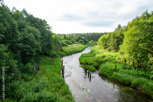 Very beautiful fairytale landscape with lush grass and a running river, aerial view