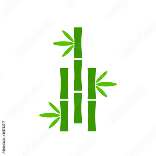 Bamboo Illustration