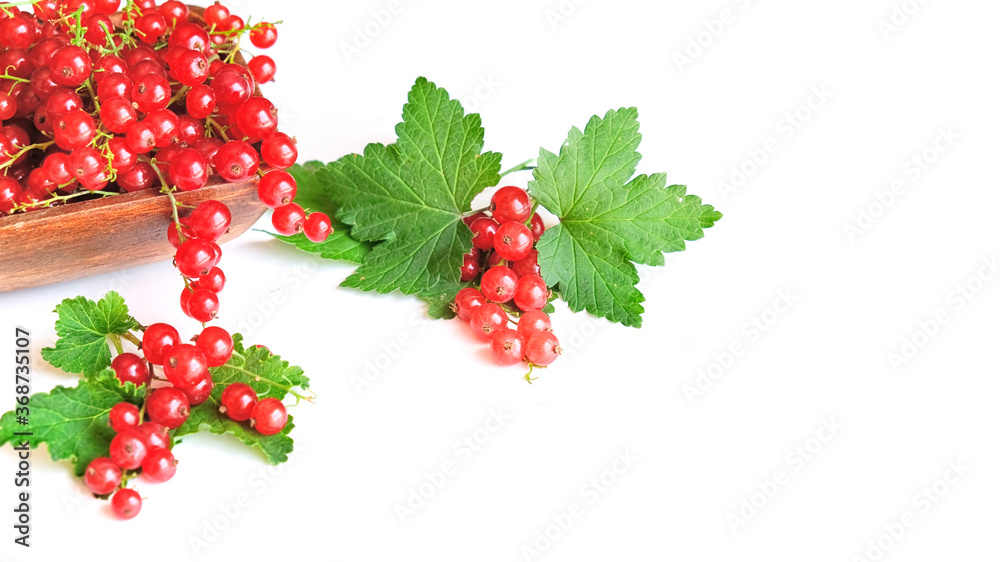 fresh red currant in a wooden bowl isolated on white background. summer harvest of vitamins. fresh red currant in a wooden bowl isolated on white background. summer harvest of vitamins.