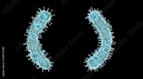 Alphabet made of virus isolated on black background. Symbol left and right parentheses. 3d rendering. Covid font photo