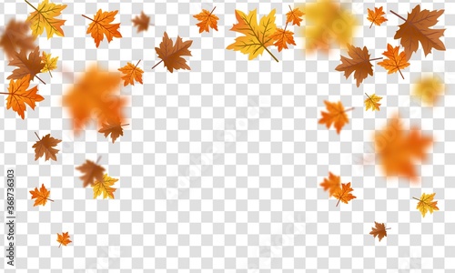 autumn leaf falling down. autumn concept with transparent background isolated.