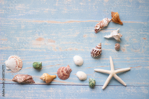 Starfish and snail on table. Summer accessories. Horizontal frame for travel concept.