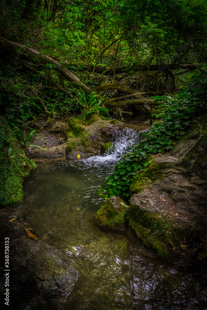 Springs in the forest in hot summer day, outdoor walk 