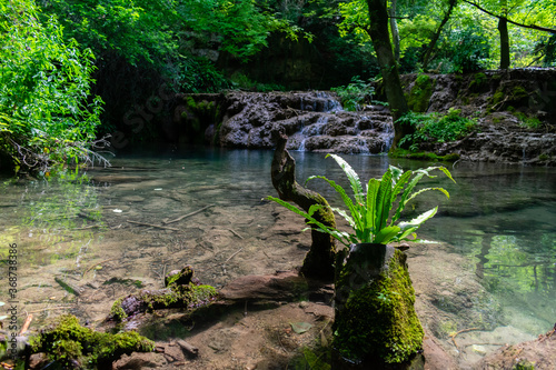 Forest springs with stone bridge