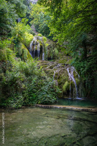 Stream in the forest