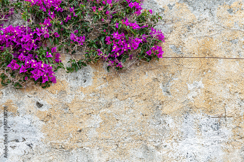 Stone wall texture background