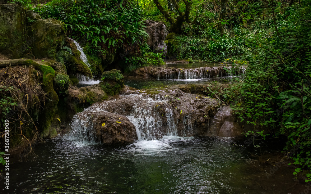 Waterfall in the forest at Krushuna Waterfalls Waterfall in the forest at Krushuna Waterfalls