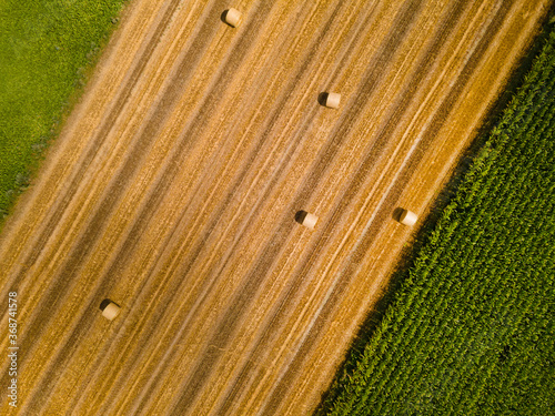 Aerial top view of agriculture field