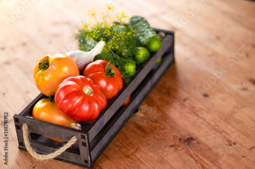 Vegetables tomatoes and cuc...