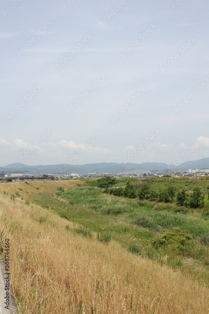 Obraz premium 河川敷、River