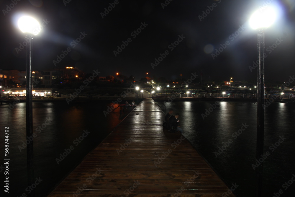 pier in the moonlight at night