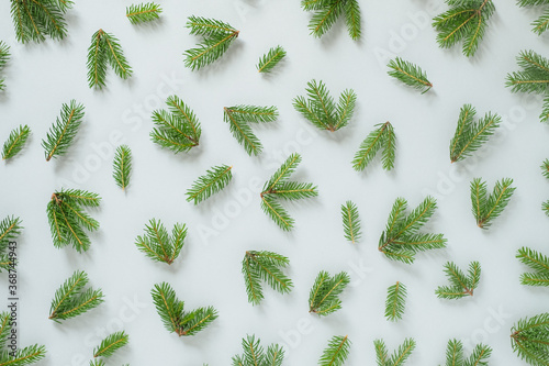  Background texture of fluffy tree branches for Christmas card.