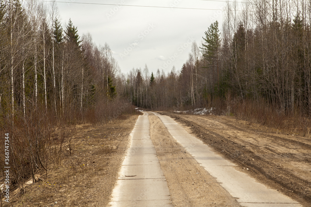 Dirty road in early spring forest