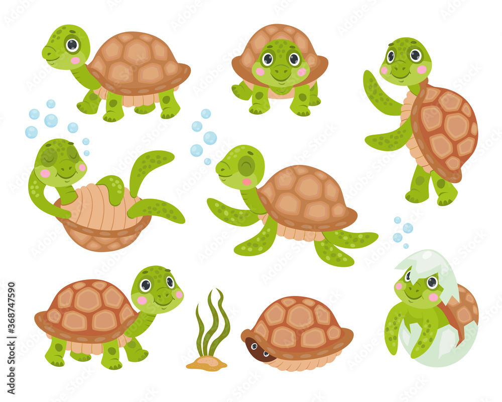 Green baby turtle set. Cute funny tortoise cartoon character sleeping