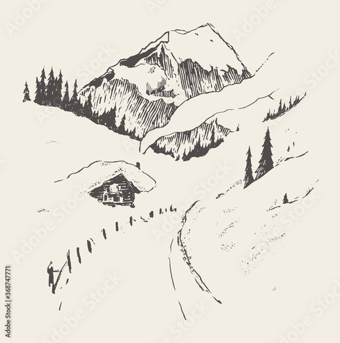 House on country road mountain fir forest vector