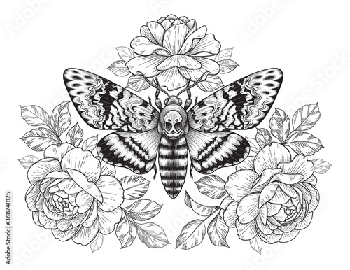 Death's-Head Hawk Moth with Roses