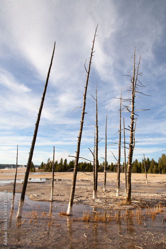 Lower geyser basin