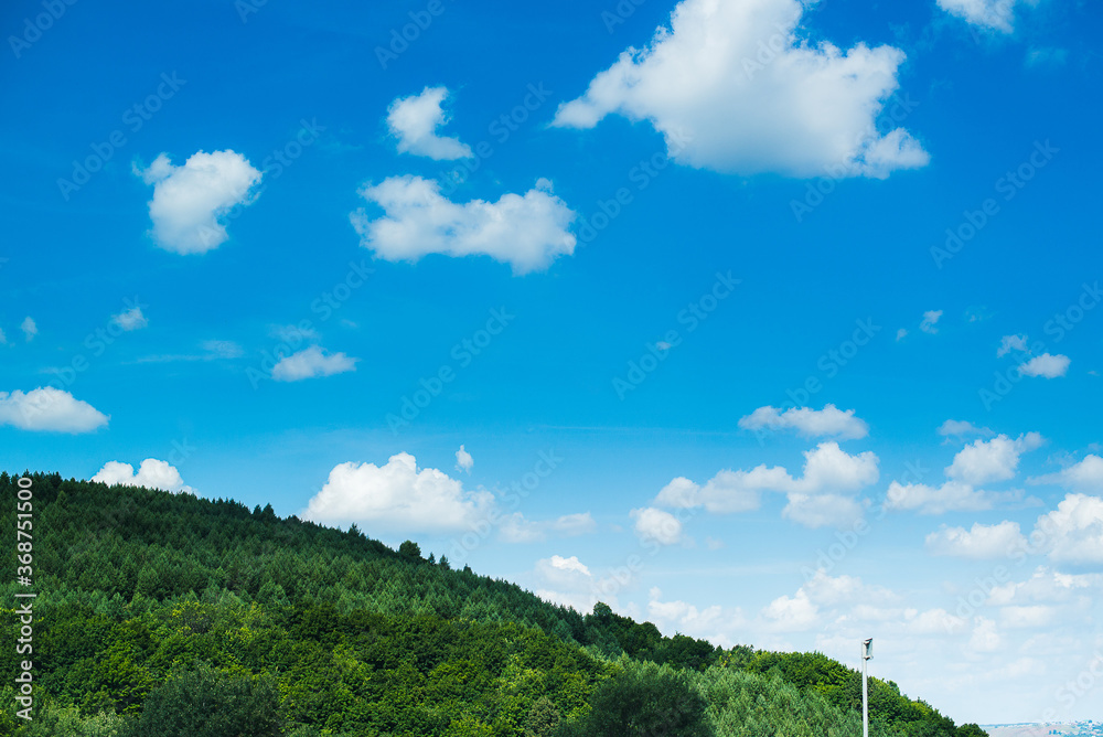 summer landscape with blue sky