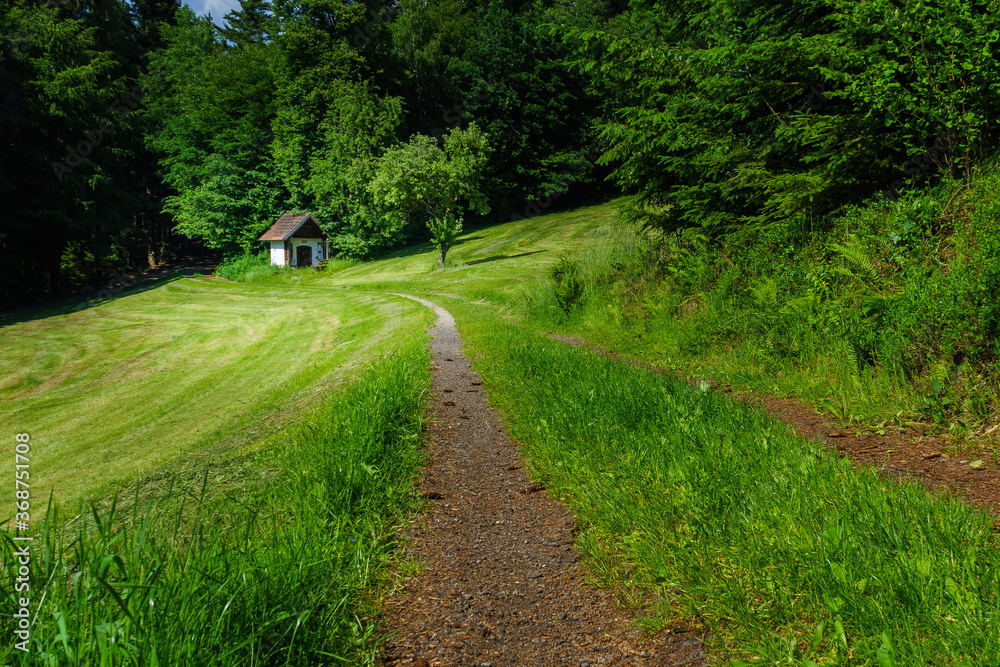 Wanderung zum Gallner Gipfel bei Stallwang im Bayerischen Wald Wanderung zum Gallner Gipfel bei Stallwang im Bayerischen Wald