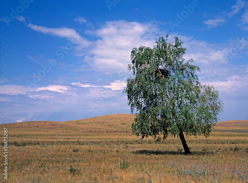 Arkaim - the branch of the Ilmen reserve. Stony steppe. Chelyabinsk region. photo