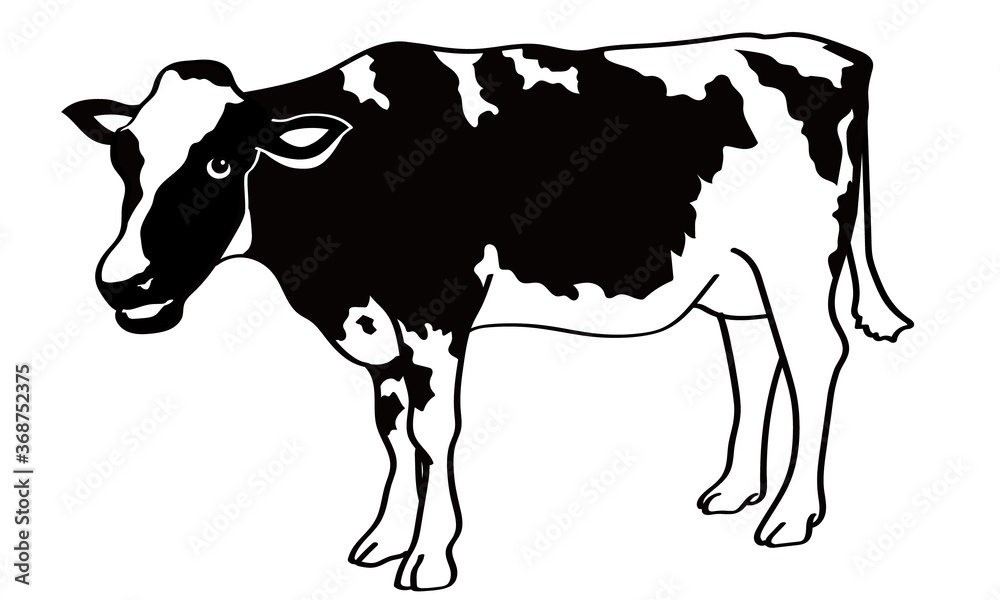 横から見た白黒の牛の立ち姿 Stock ベクター Adobe Stock